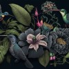 Dark Botanical Wall Mural | Hummingbird Wallpaper YF-00331